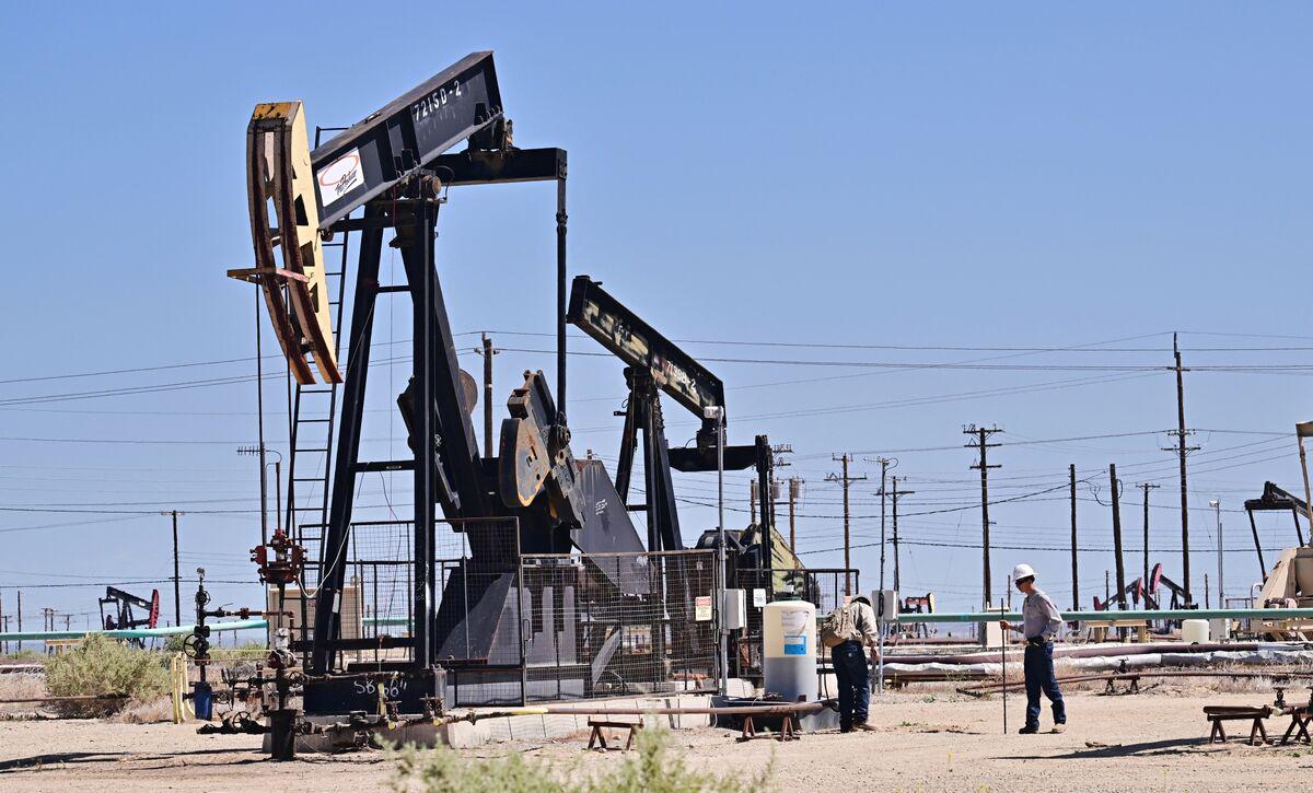 The US government is now just a host body for a cordyceps-like parasite: the fossil fuel industry. It will backfire horribly.