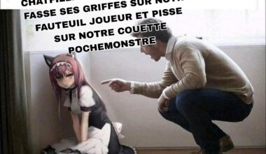 C'est des responsabilités
