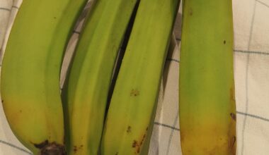 De bananen die we 3 weken geleden meekregen bij collect & go.