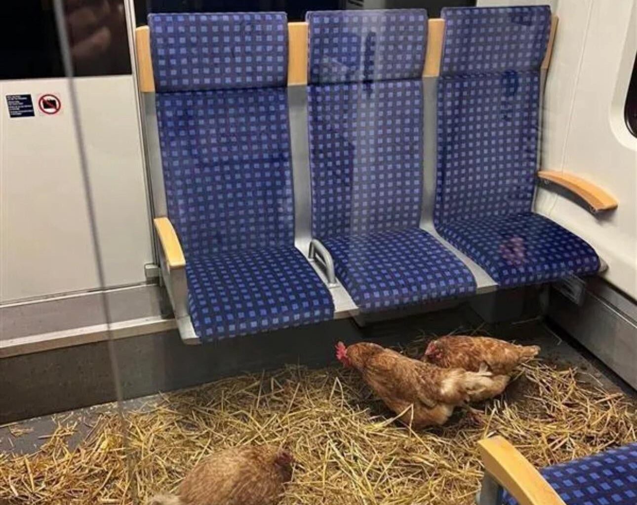 Deutsche Bahn has the freshest eggs