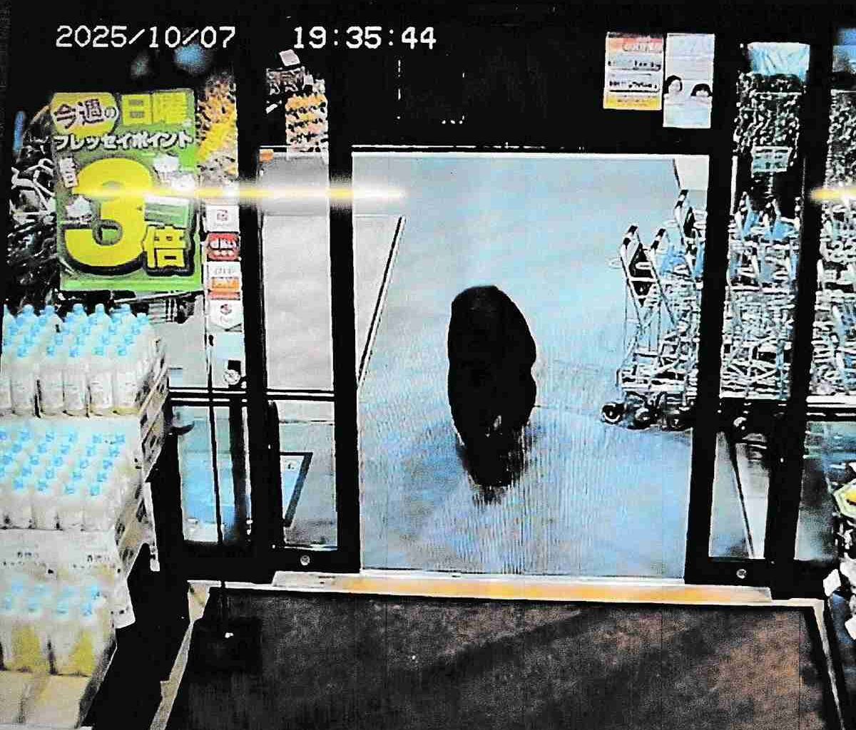 Bear enters supermarket in Japan, attacks 2 customers