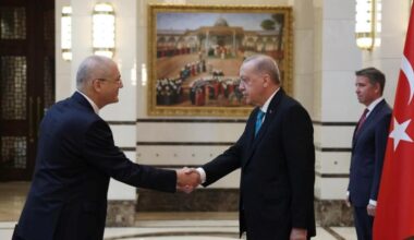 Ambassador in Istanbul presents credentials to Turkey's president