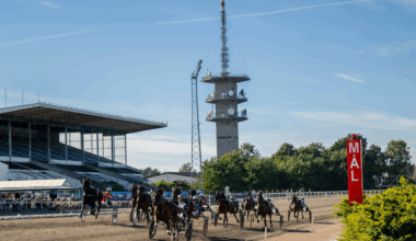 Sverige och Danmark i historiskt samarbete – lanserar Vision Öresund för framtidens travsport