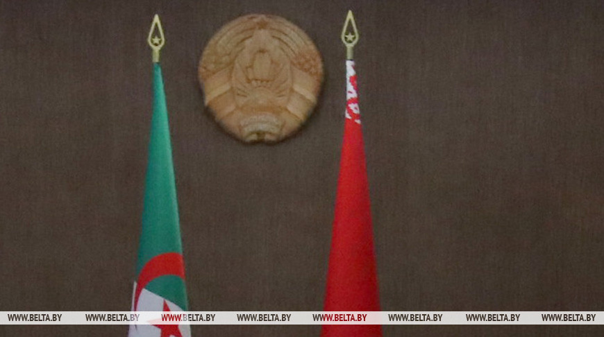 Belarus, Algeria discuss preparations for upcoming highest-level contacts