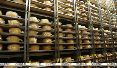 Belarus seeks to expand agricultural exports to Africa, Asia