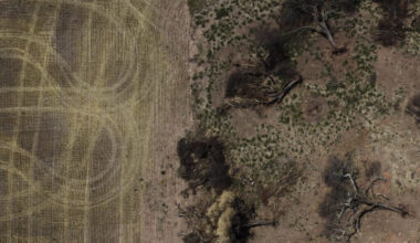 European Parliament aligns with member states, further watering down the EU law