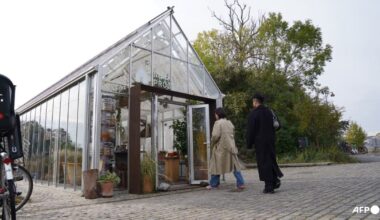 Denmark's fabled restaurant noma sells products to amateur cooks