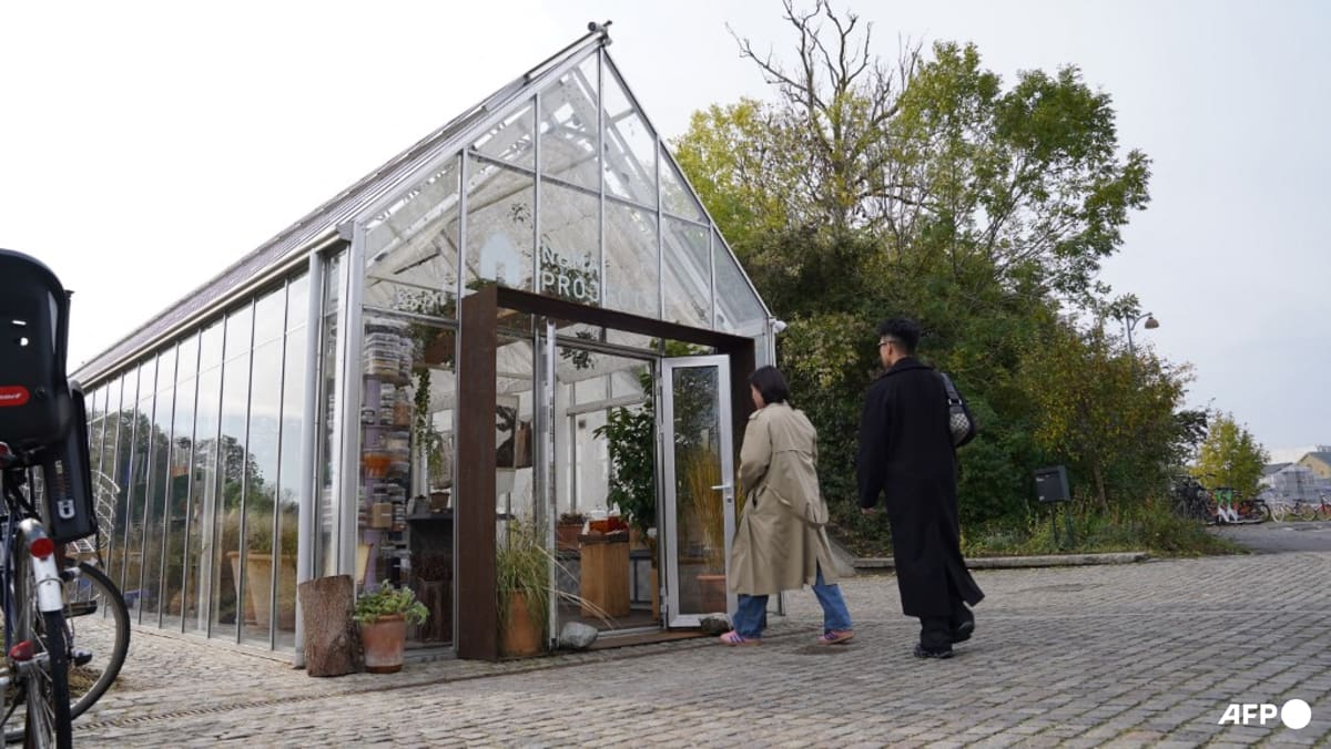 Denmark's fabled restaurant noma sells products to amateur cooks