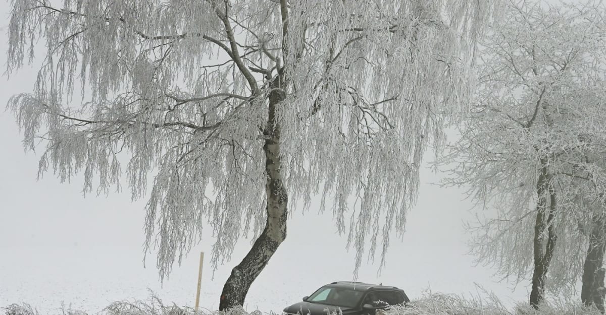Předpověď počasí: Výstraha před ledovkou platí pro celé Česko