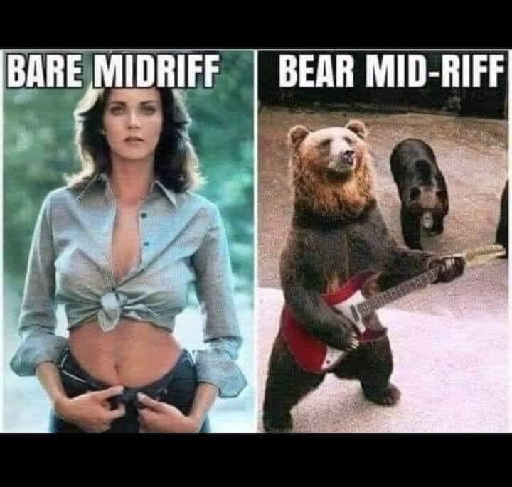 Bear with me