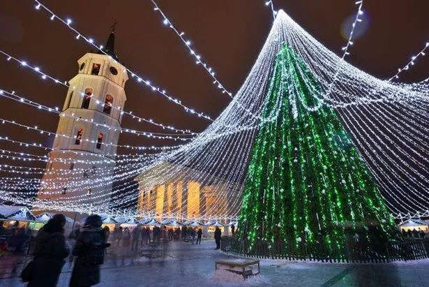 Night view of the christmas tree in Vilnius