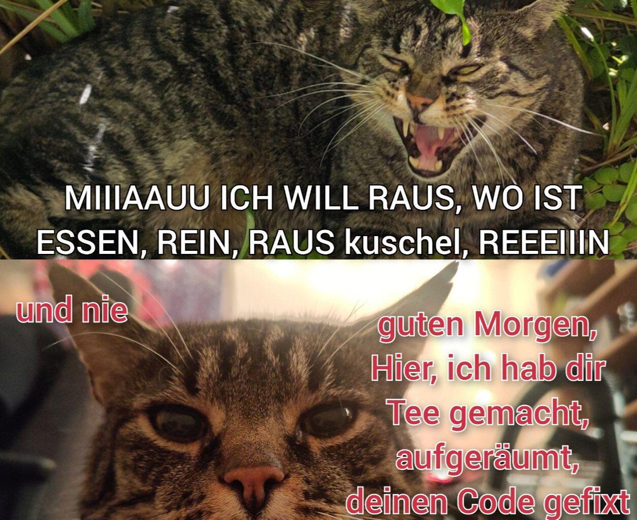 ich😾iel