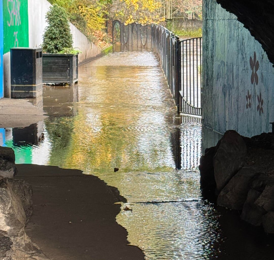 Folks I think it rained a wee bit