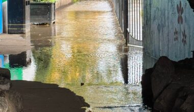 Folks I think it rained a wee bit