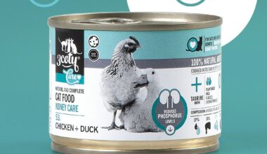 Poland's 3coty expands into dog food, international markets