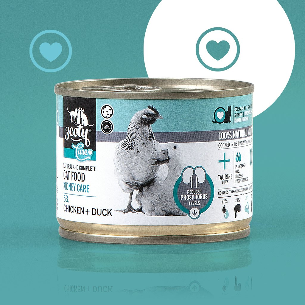 Poland's 3coty expands into dog food, international markets