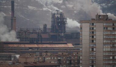 EU considers weakening 2040 climate goal over forest CO2 absorption, draft shows