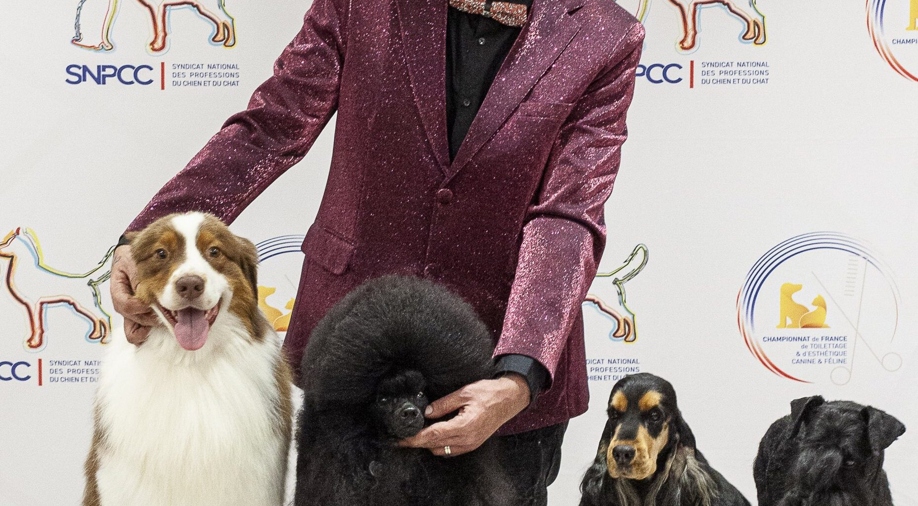 BOURGOGNE : Un toiletteur de Saône-et-Loire sacré «meilleur de France»