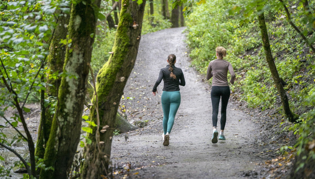 Derfor emigrerer mange fra Norge
