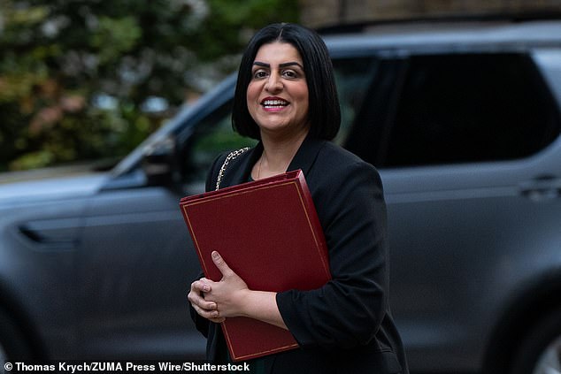 Home Secretary Shabana Mahmood dispatched her own senior officials to Copenhagen to study what lessons can be learned from the Danes