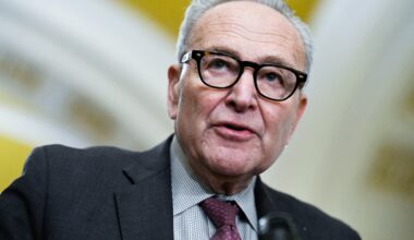 Democratic leader Schumer deal to end government shutdown