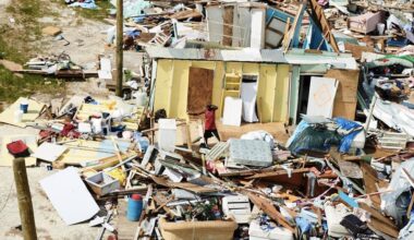 Major hurricanes likely pushed a small Bahamanian bird to extinction » Yale Climate Connections