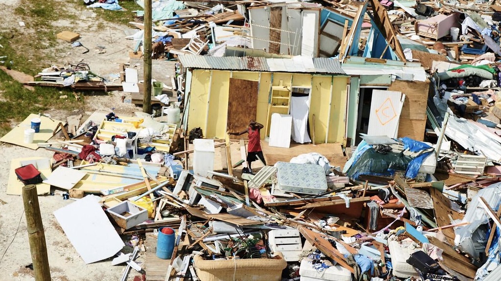 Major hurricanes likely pushed a small Bahamanian bird to extinction » Yale Climate Connections