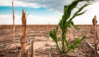 Stronger Water and Soil Policies Needed to Combat Climate Change and Erosion -- Environmental Protection