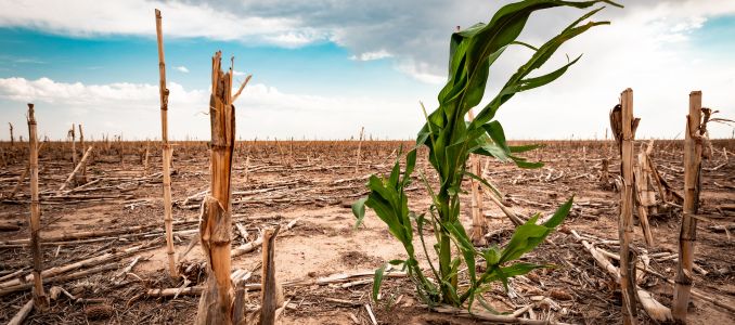 Stronger Water and Soil Policies Needed to Combat Climate Change and Erosion -- Environmental Protection