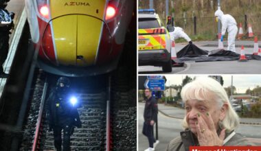 UK pol tells country to 'get on with your lives' after train mass stabbing