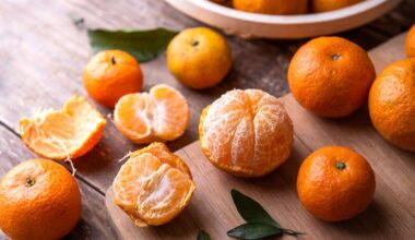 La clémentine de Corse et d'ailleurs