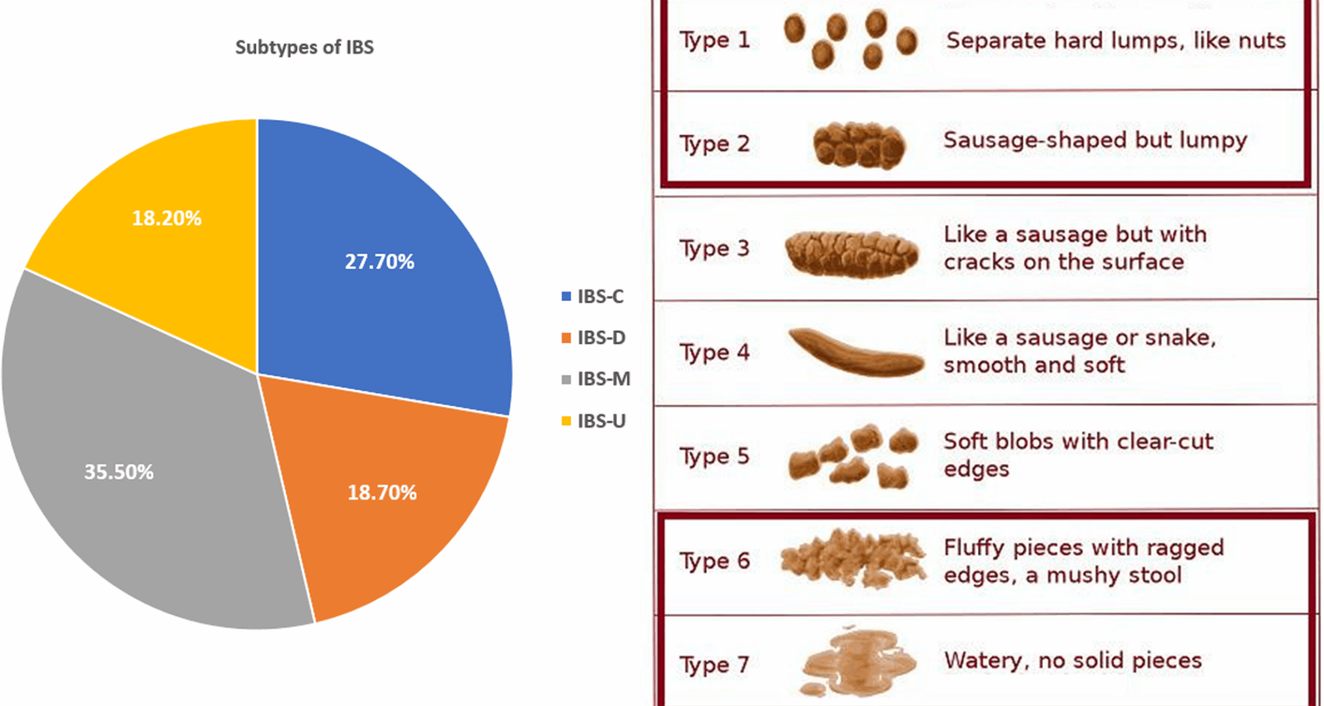 Irritable bowel syndrome and associated mental health problems among Middle East and North African medical students: a multicentric cross-sectional study | BMC Public Health