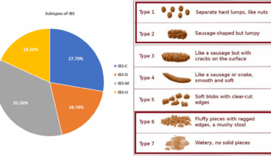 Irritable bowel syndrome and associated mental health problems among Middle East and North African medical students: a multicentric cross-sectional study | BMC Public Health