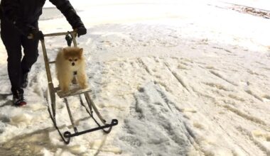 What is Your Favorite Spark?