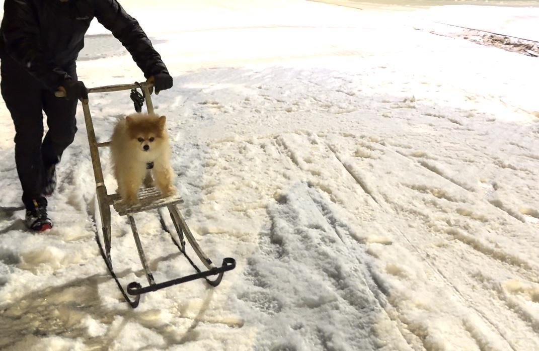 What is Your Favorite Spark?