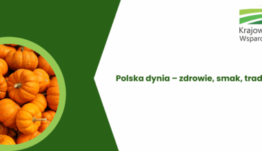 Polska największym producentem dyni w Unii Europejskiej - Krajowy Ośrodek Wsparcia Rolnictwa