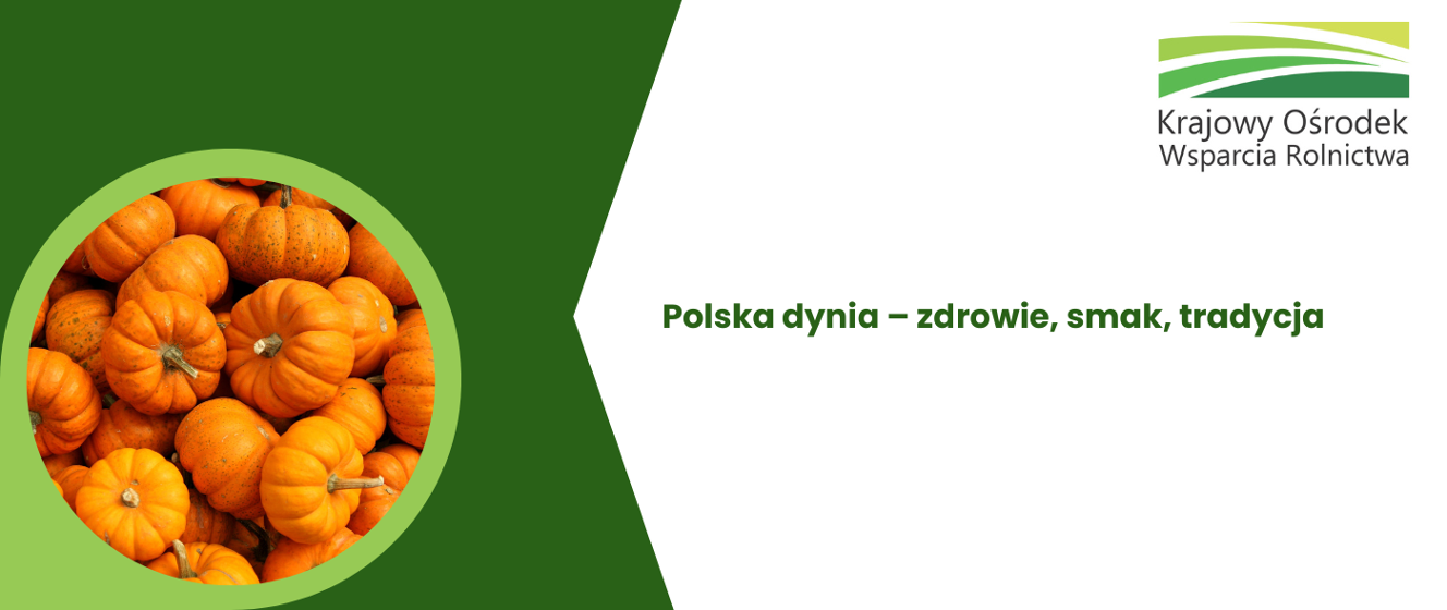 Polska największym producentem dyni w Unii Europejskiej - Krajowy Ośrodek Wsparcia Rolnictwa