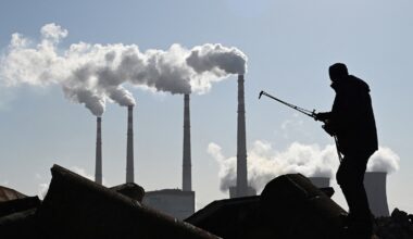 Transition credits allow EU to be competitive and climate credible 