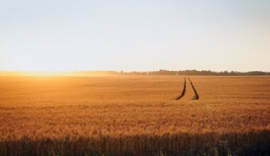 Recent presidential trip sparks Estonian hopes of boosting Kazakhstan grain transit | News