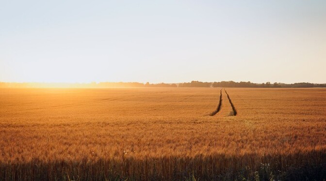 Recent presidential trip sparks Estonian hopes of boosting Kazakhstan grain transit | News