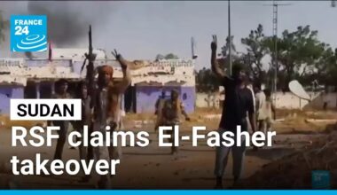 RSF claims El-Fasher takeover as Sudan conflict worsens • FRANCE 24 English
