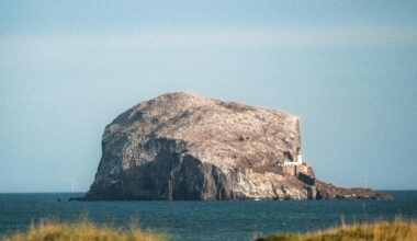 Bass Rock in the sun this afternoon