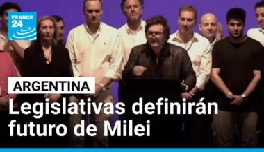 Milei, contra las cuerdas en las elecciones legislativas en Argentina • FRANCE 24 Español