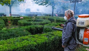 O nouă campanie de deratizare în municipiul Brașov