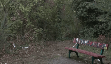 Je podle vás správné reagovat minutou ticha na hromadné znásilnění?