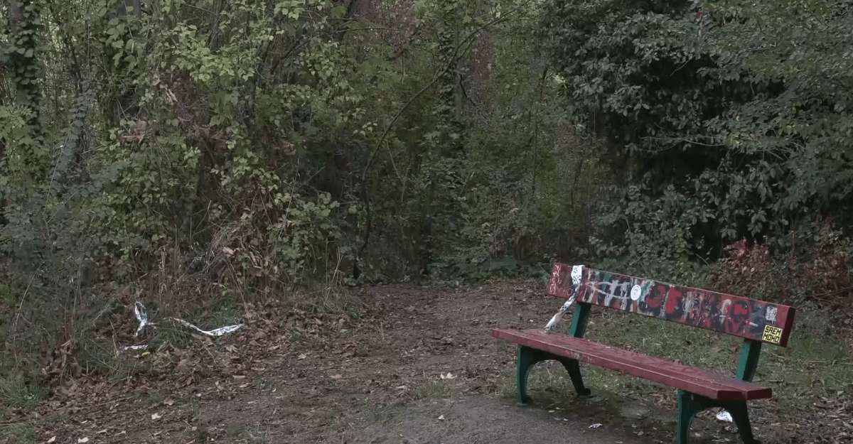 Je podle vás správné reagovat minutou ticha na hromadné znásilnění?