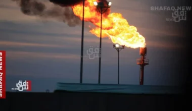 Oil prices slip as OPEC+ pause signals oversupply fear