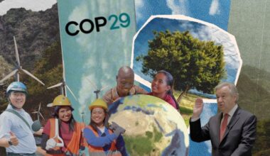 How the COP conference takes place and why it is needed