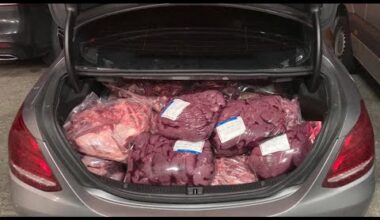 La Policía intensifica la lucha contra el contrabando de carne de Francia a Suiza • FRANCE 24
