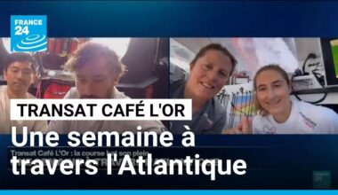 Transat Café L'Or : une semaine à travers l'Atlantique • FRANCE 24